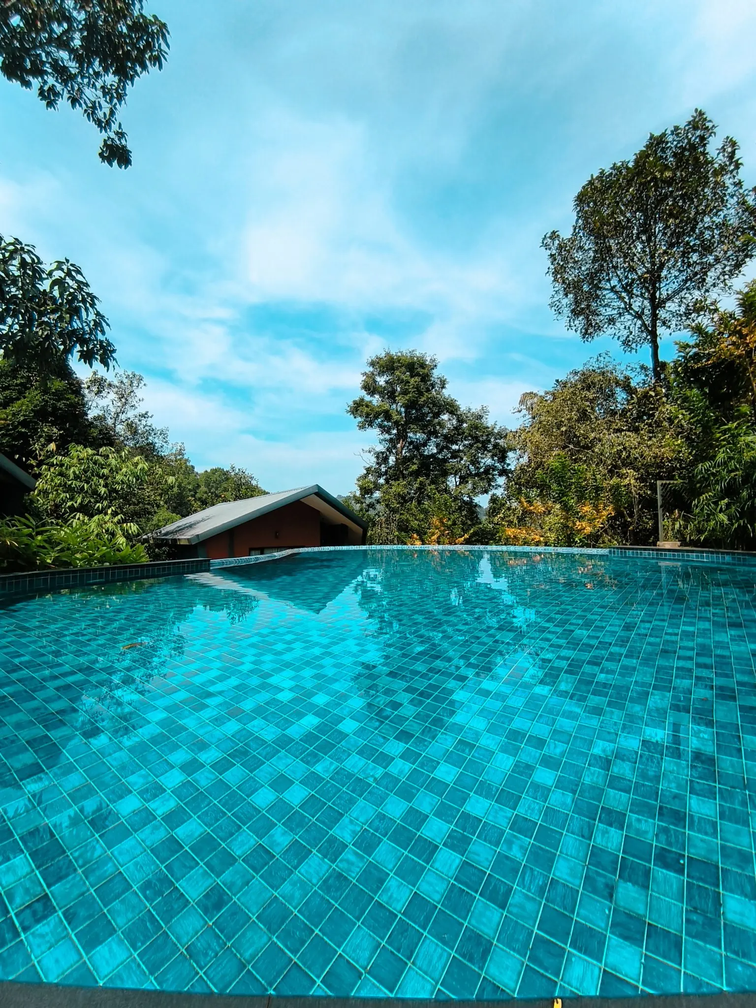 Piscina infinita de un alojamiento vacacional